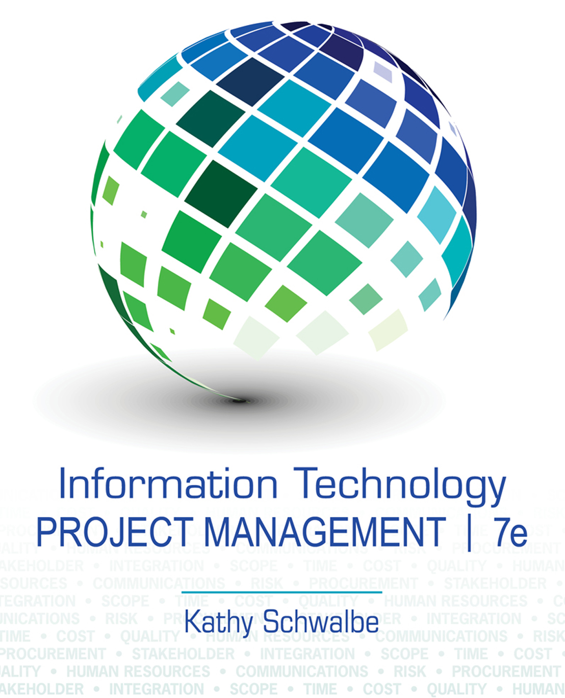 Information Technology Project Management - Kathy S